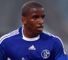Farfan image